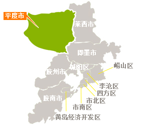 地图